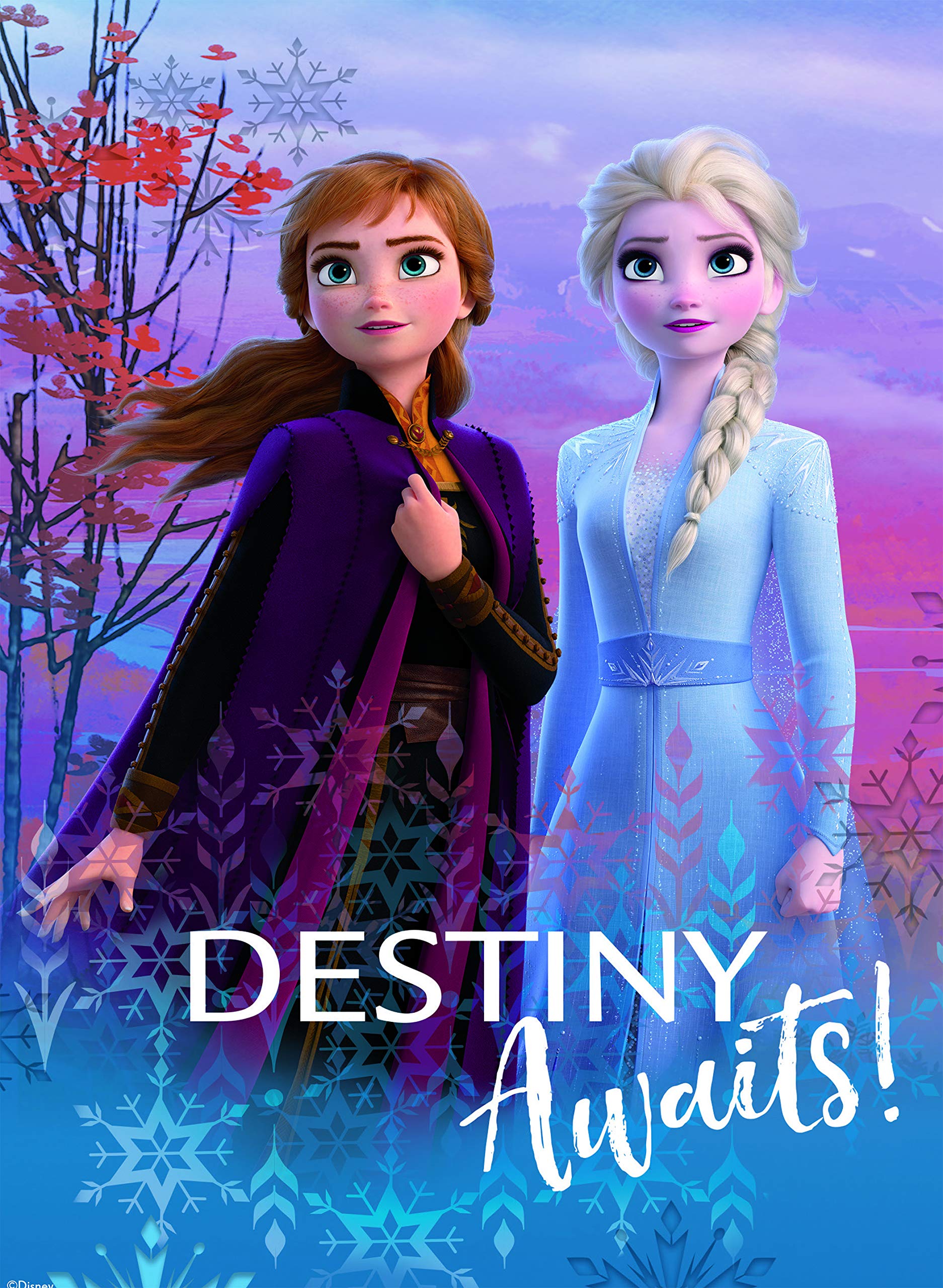 Amazon.com: Ceaco Disney Frozen II - Rompecabezas 5 en 1, (2) 300